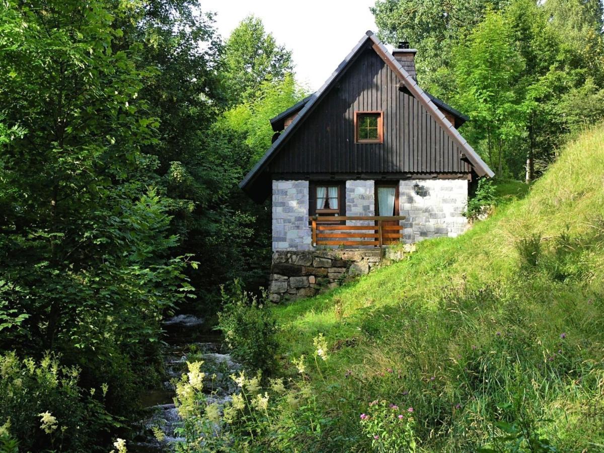 Converted Old Mill In St Georgen Inblack Forest St. Georgen im Schwarzwald Eksteriør bilde